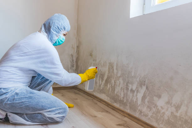 Mold Remediation specialist working in Grandy