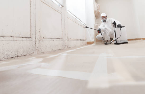 Black mold remediation team in Grandy